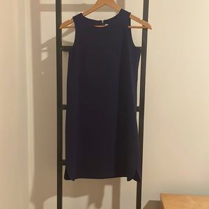 Purple/ eggplant Loft shift dress